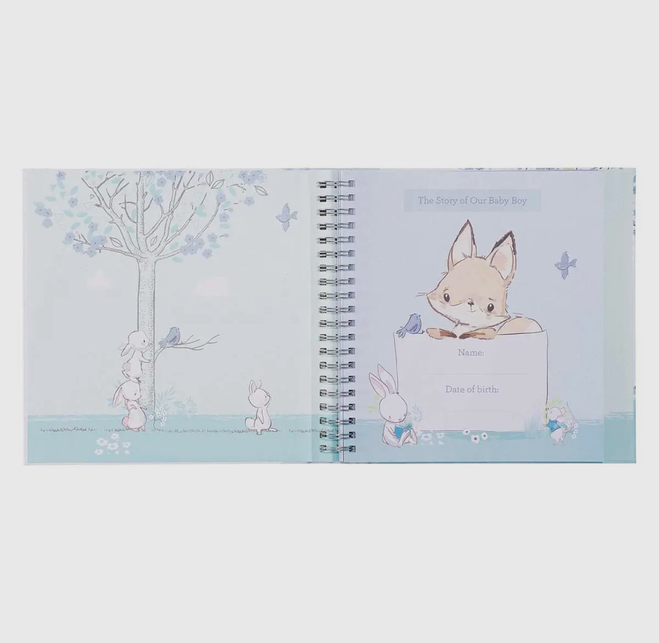 Our Baby Boy's First Year Memory Book image 1