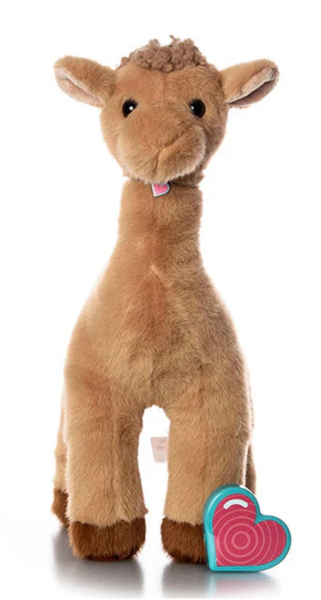 Camel Heartbeat Bear