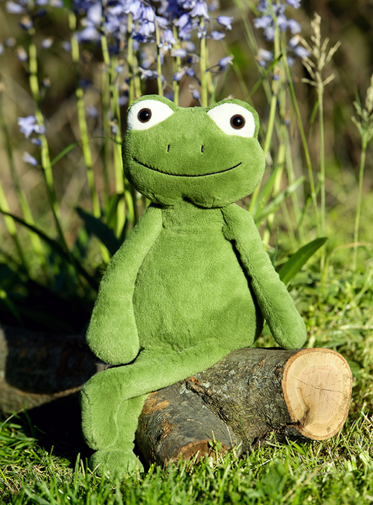 Frog image 0