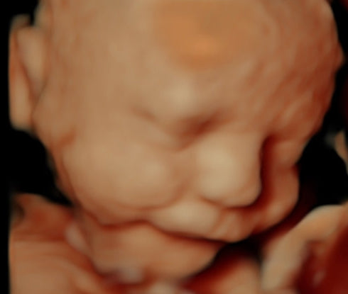 Hello Baby Premium