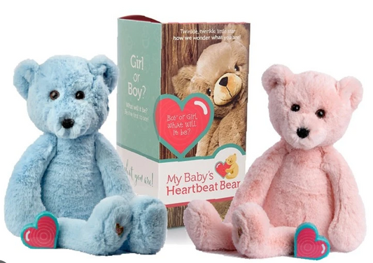 Teddy Bear Gender Reveal Box image 0