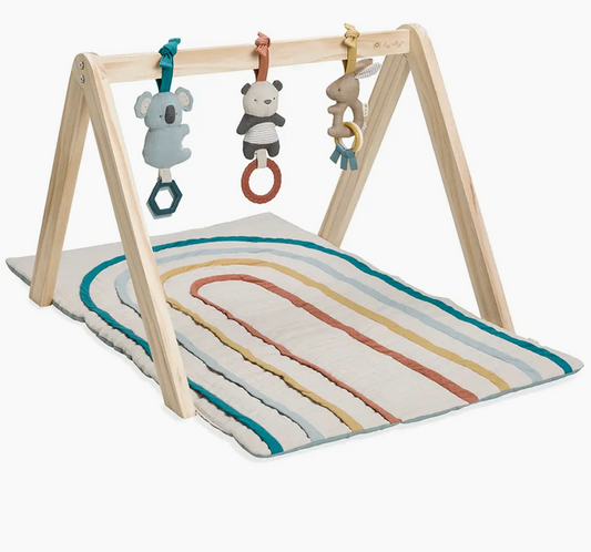 Bitzy Bespoke Rainbow Ritzy Activity Gym™ Wooden Gym image 0
