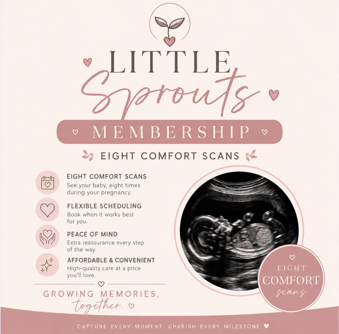 Little Sprouts Membership