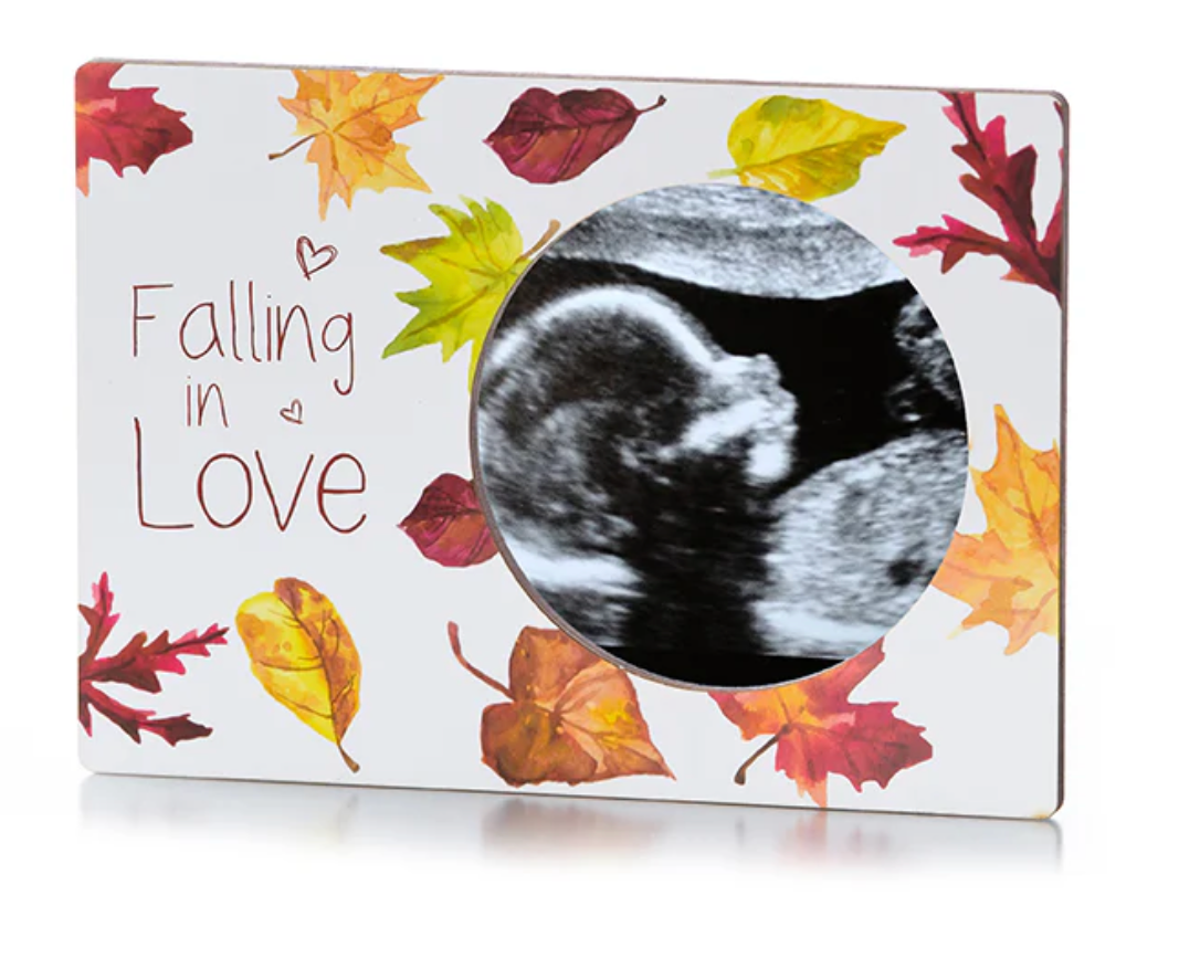 Magnetic Ultrasound Photo Frame