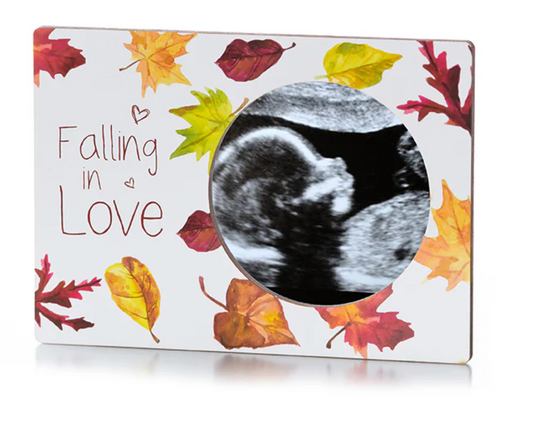 Magnetic Ultrasound Photo Frame
