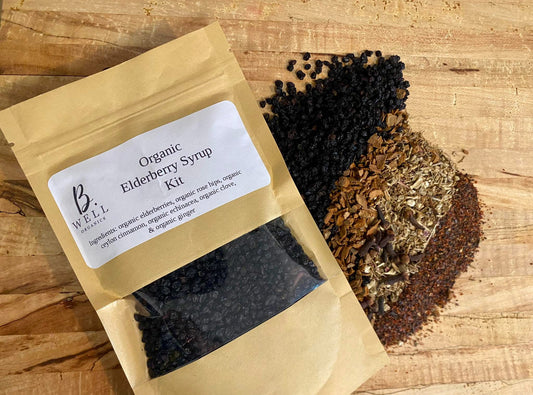 Organic Elderberry Syrup Kit by B Well image 0